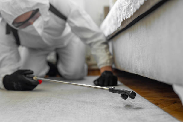 Professional Ant Control technician working in Genoa, AR