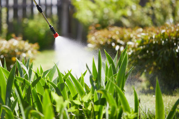 24/7 Emergency Ant Control experts in Genoa, AR