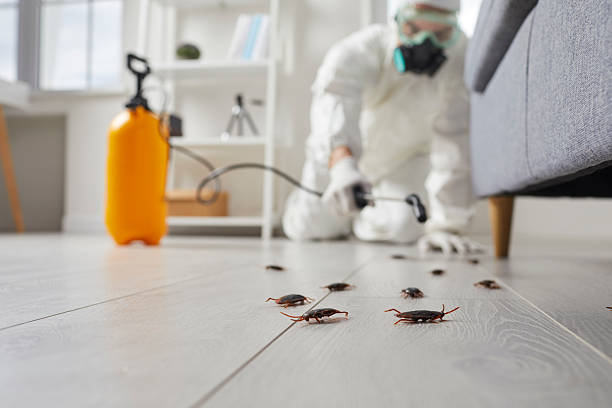 Trusted Fumigation Services service in Genoa, AR - Nex Pest Control